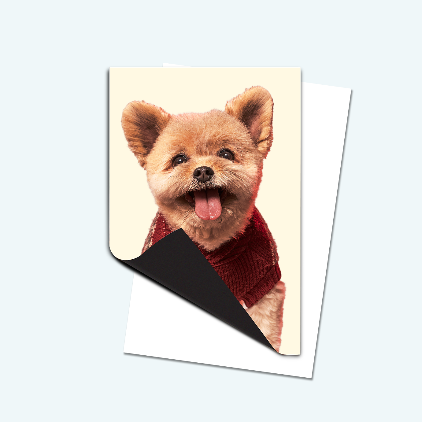 Shop Custom Photo Magnets With Envelopes – Staples Printing