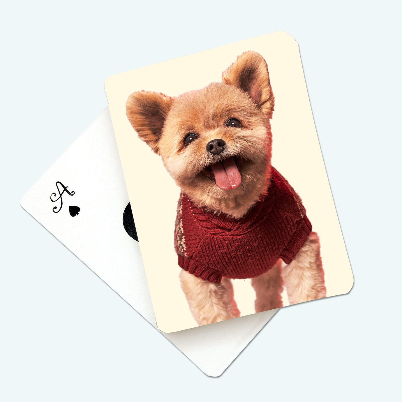Shop Custom Playing Cards | Add Photos, Text, or Logos – Staples Printing